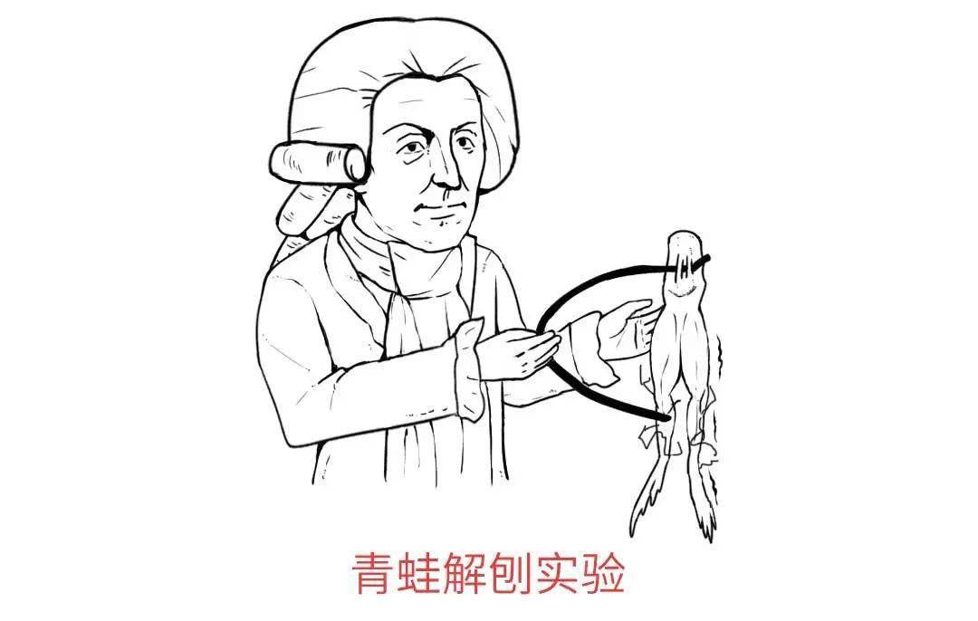 伽伐尼发现了生物电1780年马森布罗克无意中发现电能被储存1746年