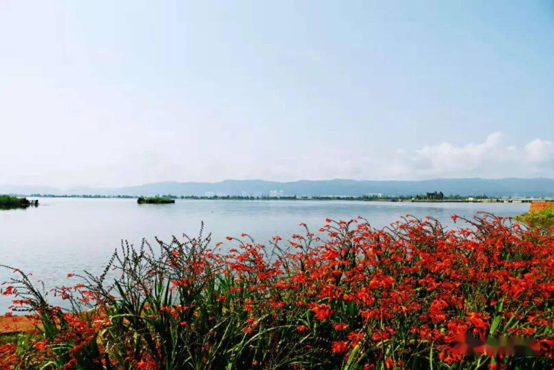 通海杞麓湖:渔舟唱晚映彩霞