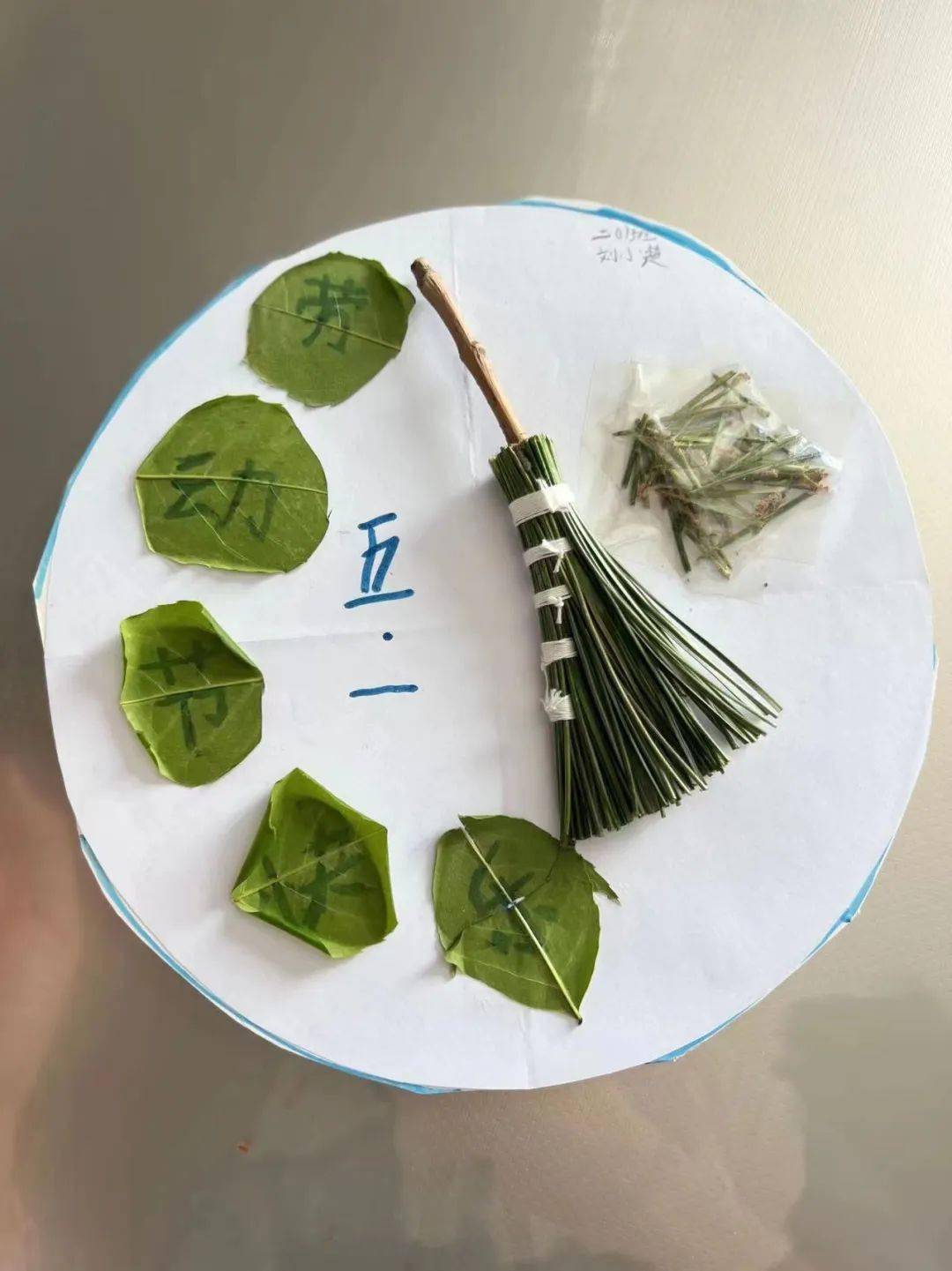 北苑小学以劳战疫以劳育人劳动教育活动成果展示之diy创意手工