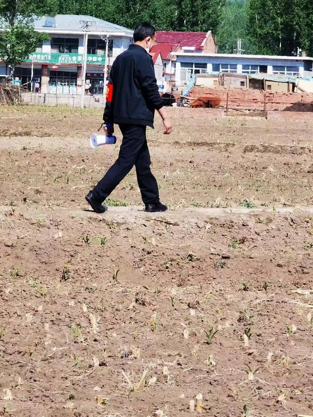 临危授命迎难而上致金沟屯镇疫情防控最可爱的人冷雪松