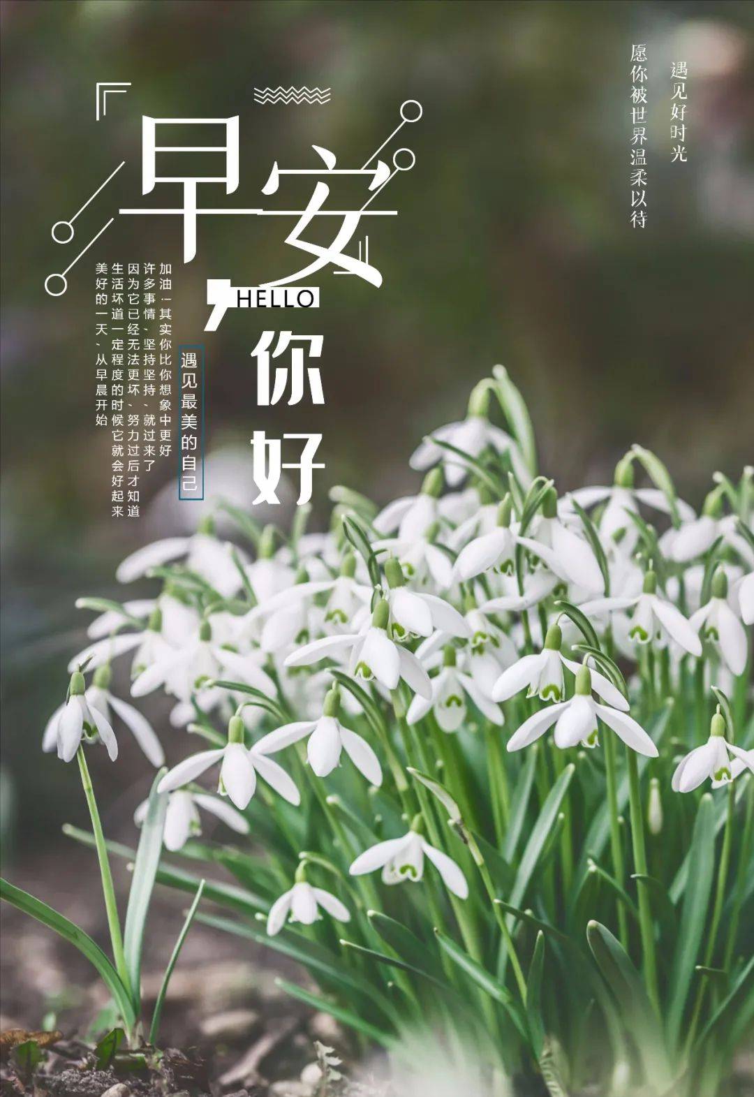 今天最新早上好问候语图片_问候语_图片