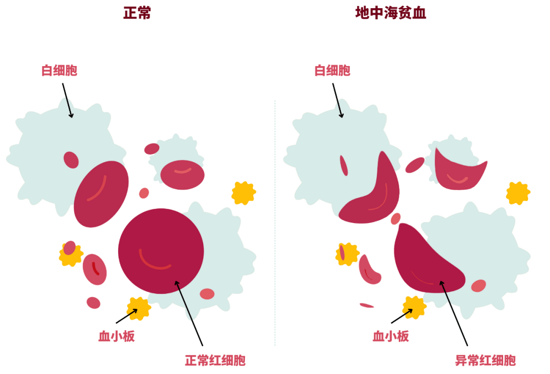 世界地贫日了解地贫共同脱贫
