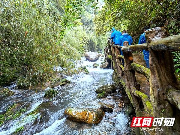 湖南“湘”约邵阳丨绥宁：行走曲幽谷，涓涓溪水惹人醉