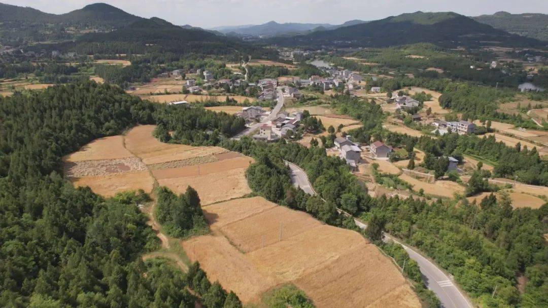 剑北粮油园区建设开启加速度_汉阳镇_项目_剑阁县