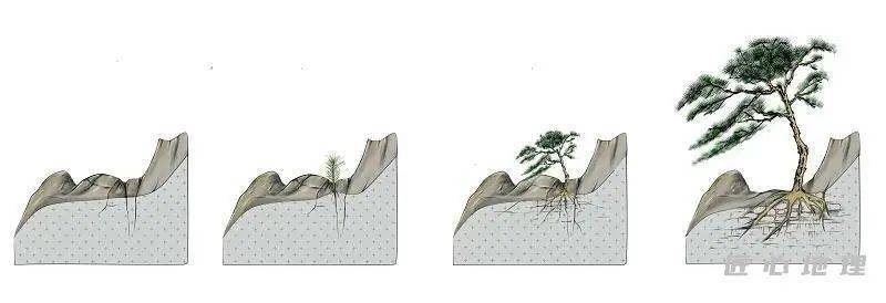 植物根劈作用03影响风化作用的因素风化作用的速度主要取决于谆然
