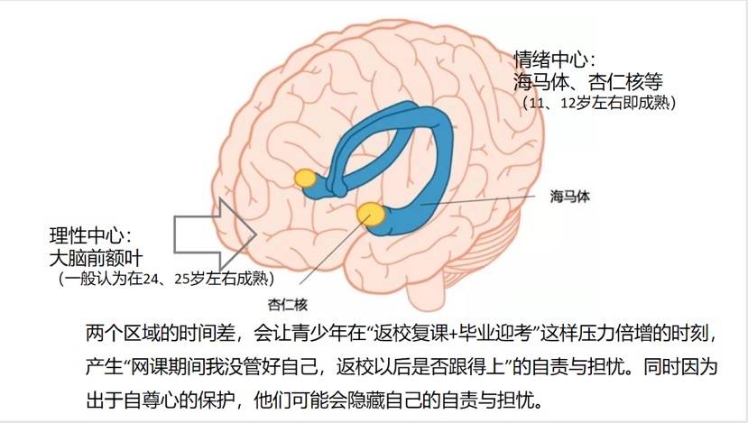 返校复课在即，父母如何陪伴孩子身心过渡？