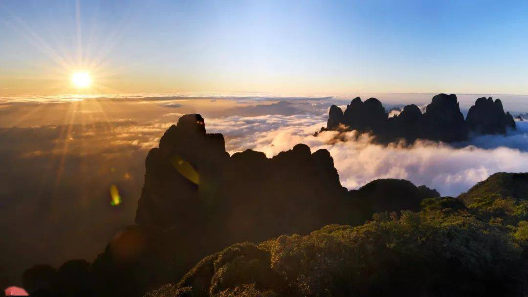 人间仙境圣堂山 漫山杜鹃在云海