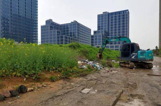 桐庐江南镇:清理垃圾死角 提升城镇颜值