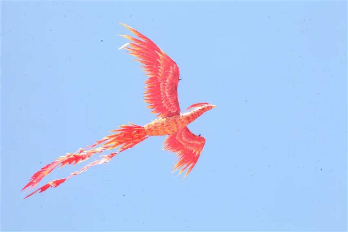 丹雀从大殿飞向圣火台 (图源 随州市委宣传部)更让人惊喜的是,辛丑年