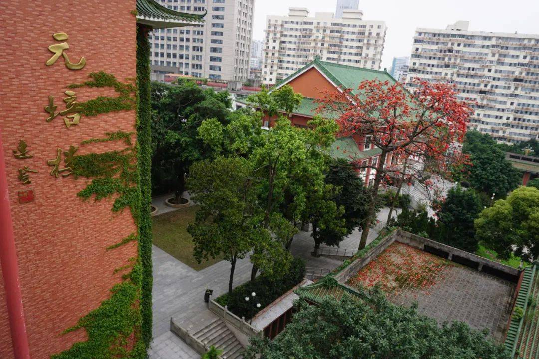 来了就会爱上执信中学执信路校区高中招生校园开放日