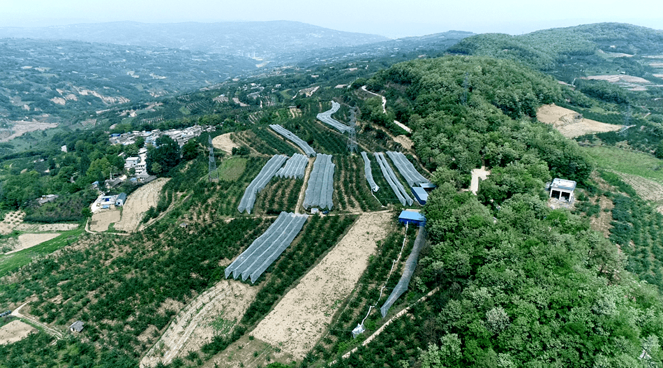 天水伯阳镇图片