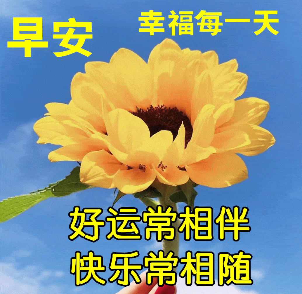 5月25日最漂亮早上好动态表情图片大全,早晨好动图美图大全_人生_问候