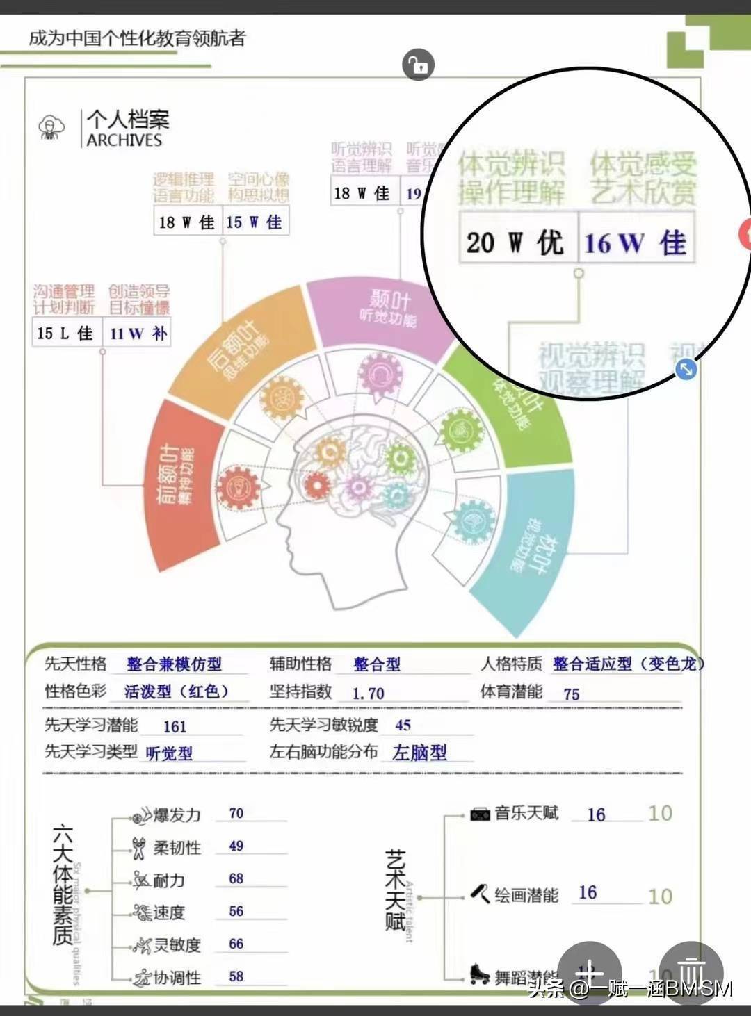 bmsm天赋测试是电子算命吗破除误解才能接近真相一文读懂