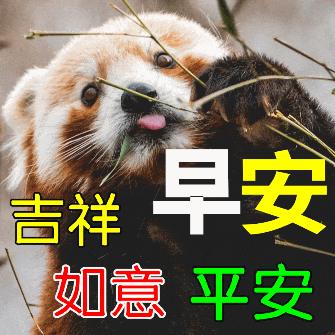 5月26日最漂亮早上好动态表情图片大全,早晨好动图美图大全_人生_问候