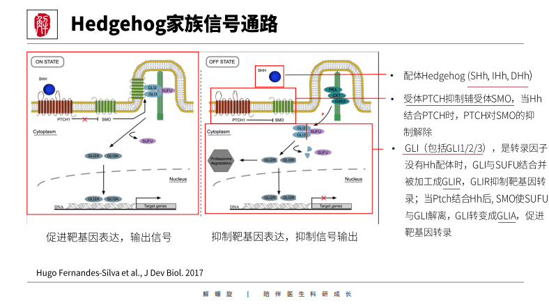 图文并茂mapkpi3kaktrtk相关tgfβ超家族等12个信号通路一站搞定