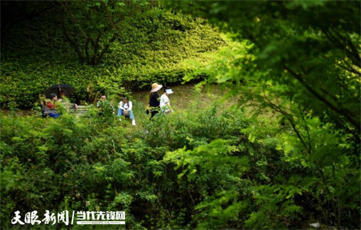 贵阳双龙生态公园：游客“吸氧”好去处