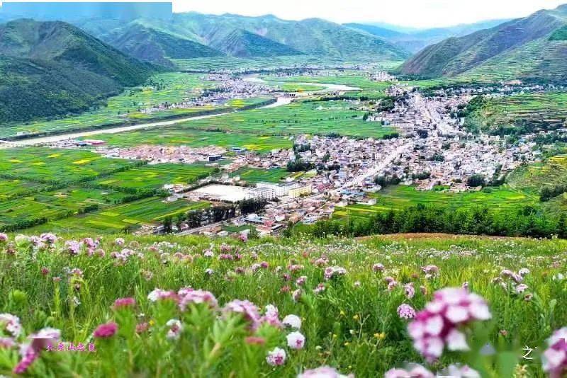 洮岷花兒賞山花爛漫岷縣清水鎮天泉山讓我們一起相約這個端午佳節來