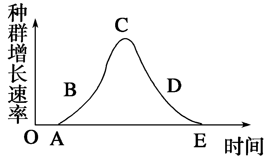 nt=n0入t(n0表示起始數量 入:數量是一年前的倍數 t:時間)增長率不變