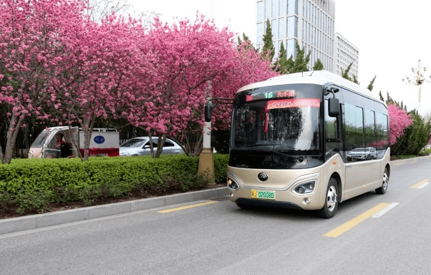 沧州网红公交车上线你注意到了吗