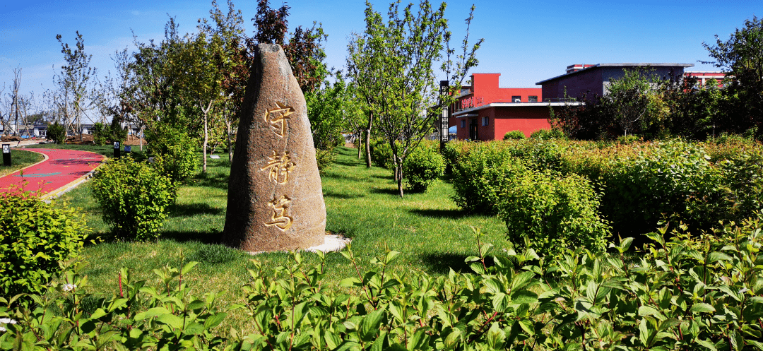 古城子镇:常态化环境整治,营造文明宜居环境_进行_树苗_张俊波