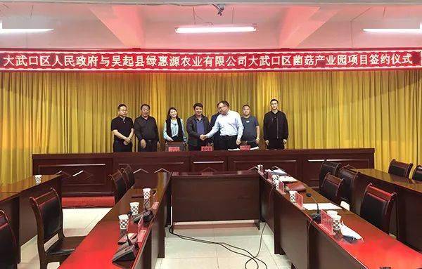 大武口区优化营商环境为高质量发展聚动能添活力