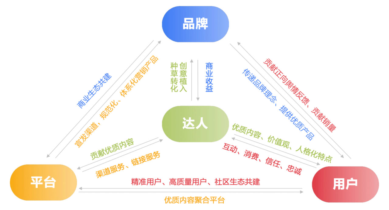 达人内容社区