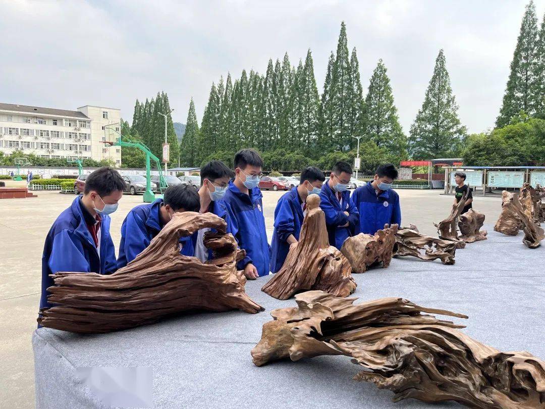 职业教育活动周丨浙江省衢州旅游学校匠心筑梦点亮技能之光