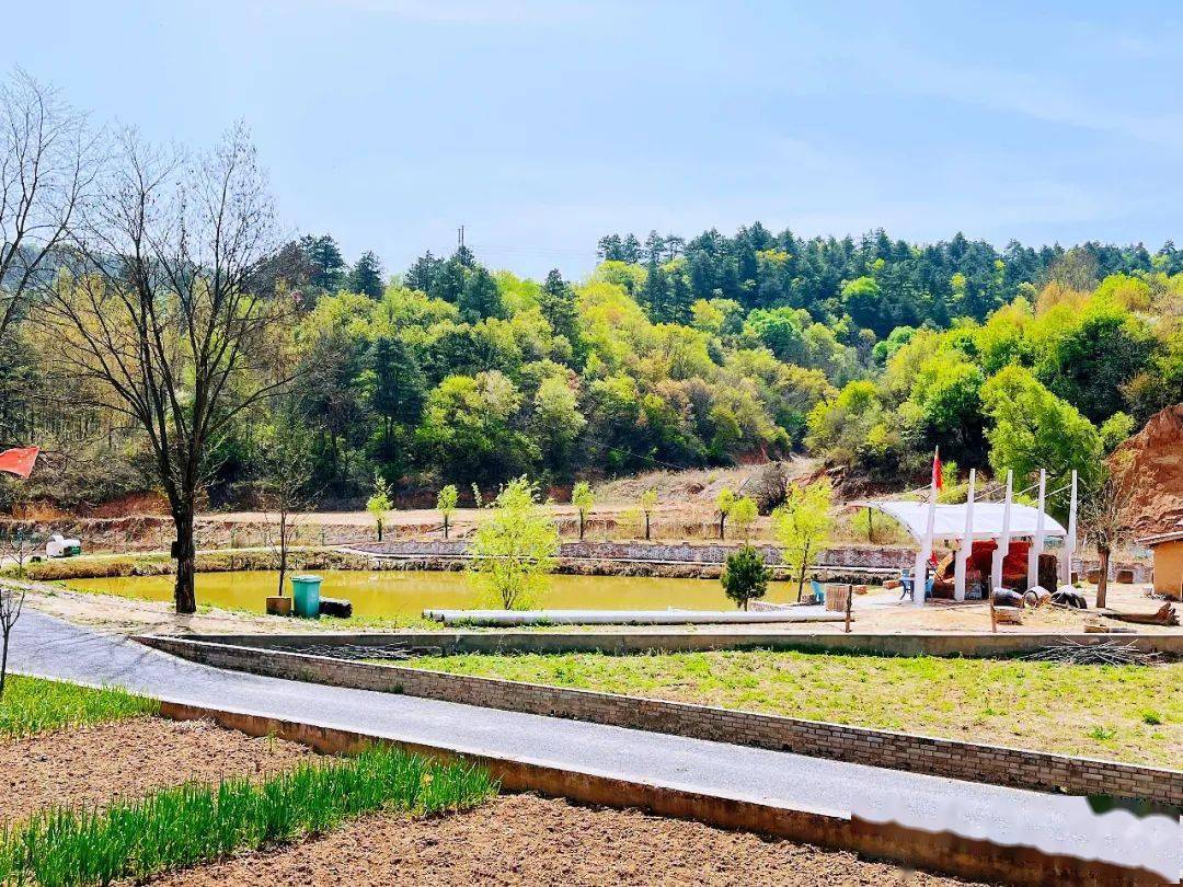 黄陵县店头镇矿区环境综合整治扮靓乡村示范镇宜居宜业的发展底色