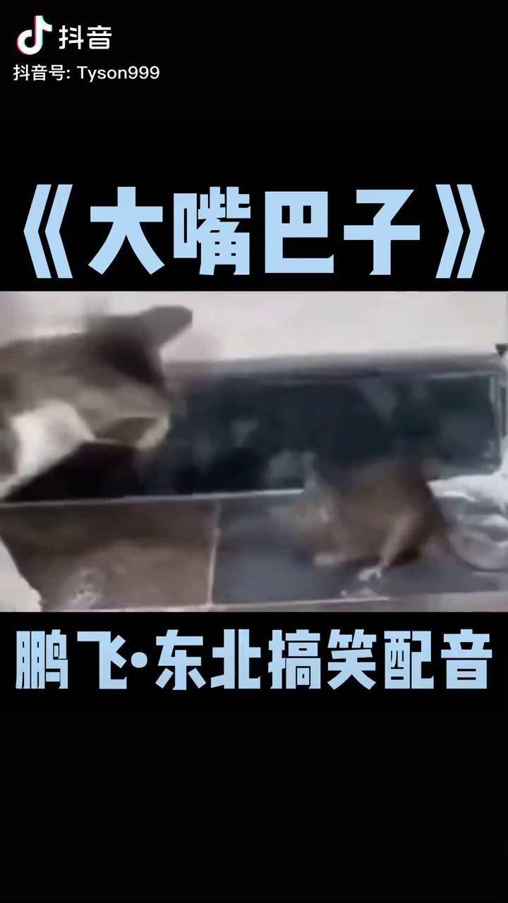 我給你一嘴巴子搞笑視頻搞笑配音搞笑