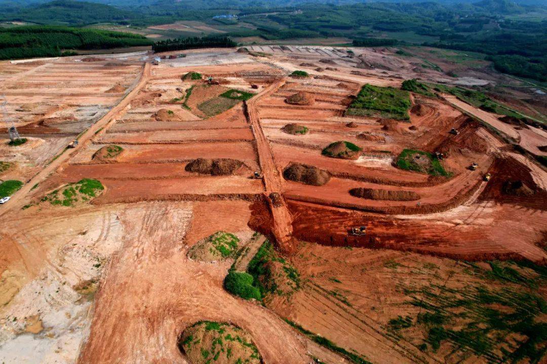 宁明县明江镇四项举措常抓粮食生产年年增收_种植_梁文高_进行