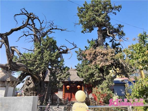 山东省嘉祥县公元1147年置县,是宗圣曾子故里,有被誉为"汉代历史百科