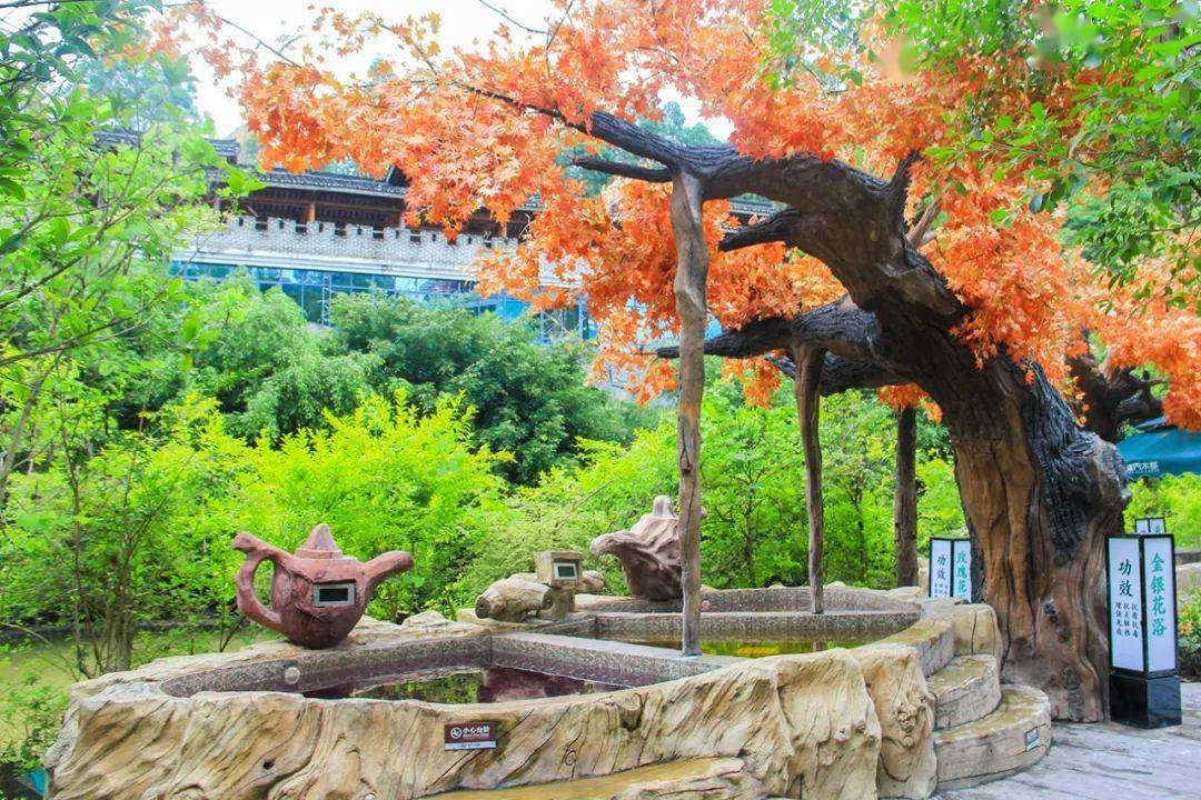 龙门水都丨"六一"儿童享受"免费游"!带你乐翻天～_玻璃_景区_路口