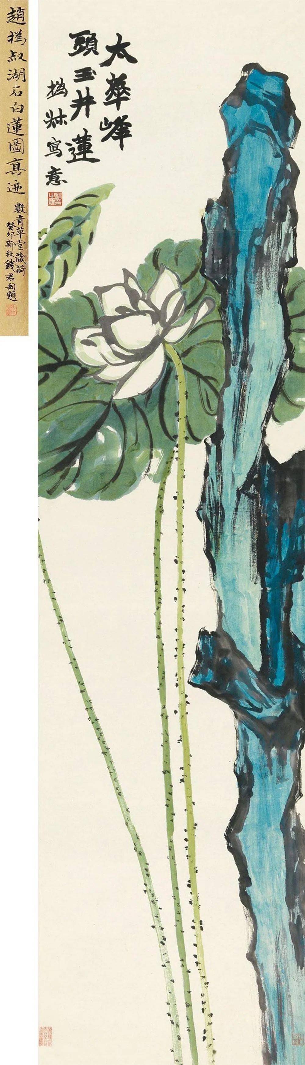 赵之谦的夏日荷塘,浓丽酣畅_荷花_浙江_色彩