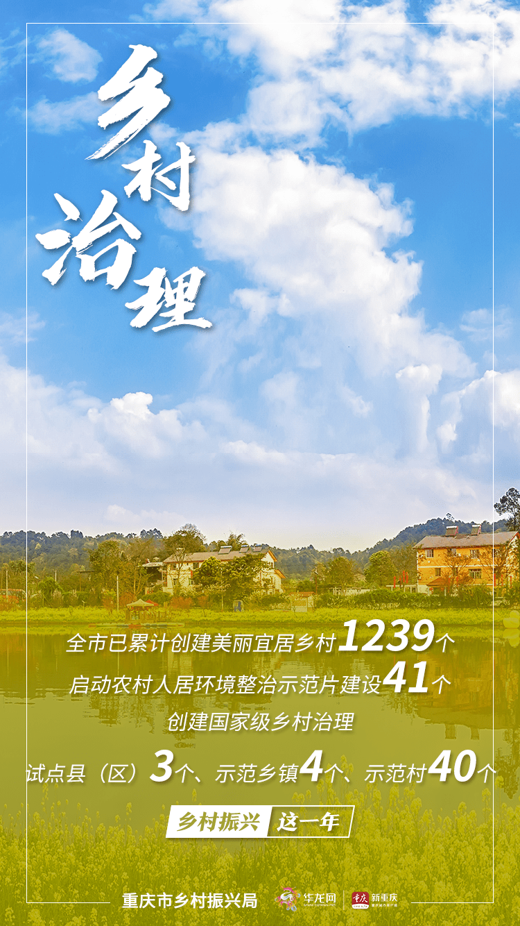 海报数读重庆乡村振兴这一年