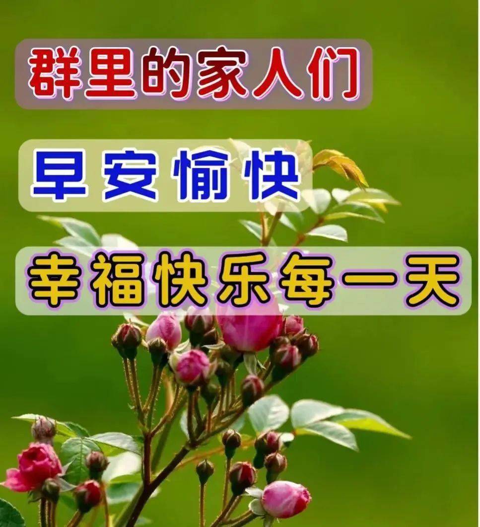 5月29日最新早上好祝福动态表情图片大全早上好问候语句子