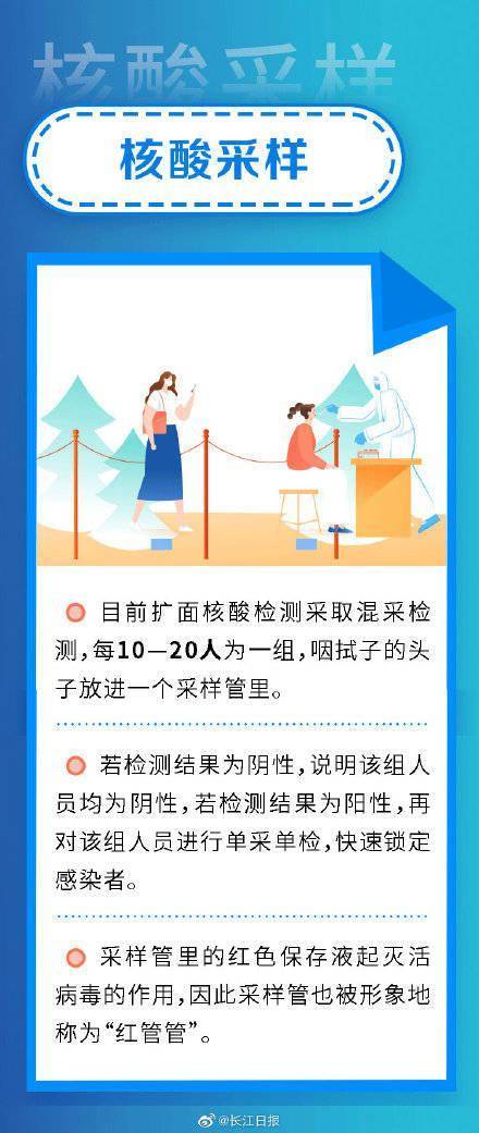 一图读懂 白签→红管→绿码,揭秘核酸检测报告出炉全过程_防控_疫情