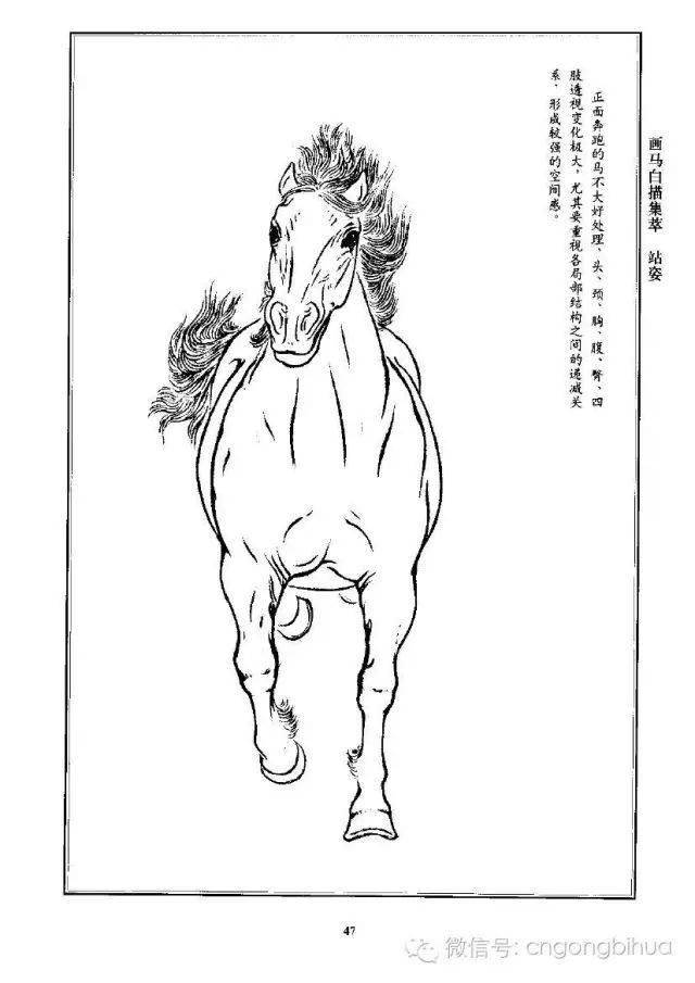 画马白描集萃