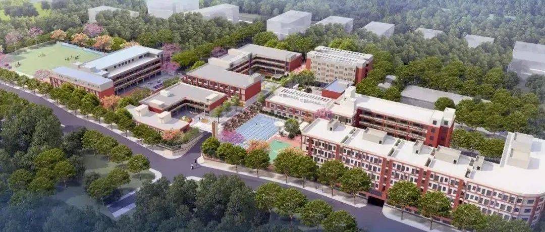 深圳这所高中好精致!36人一个班,还给每位学生配导师_教育_教学_邓继新