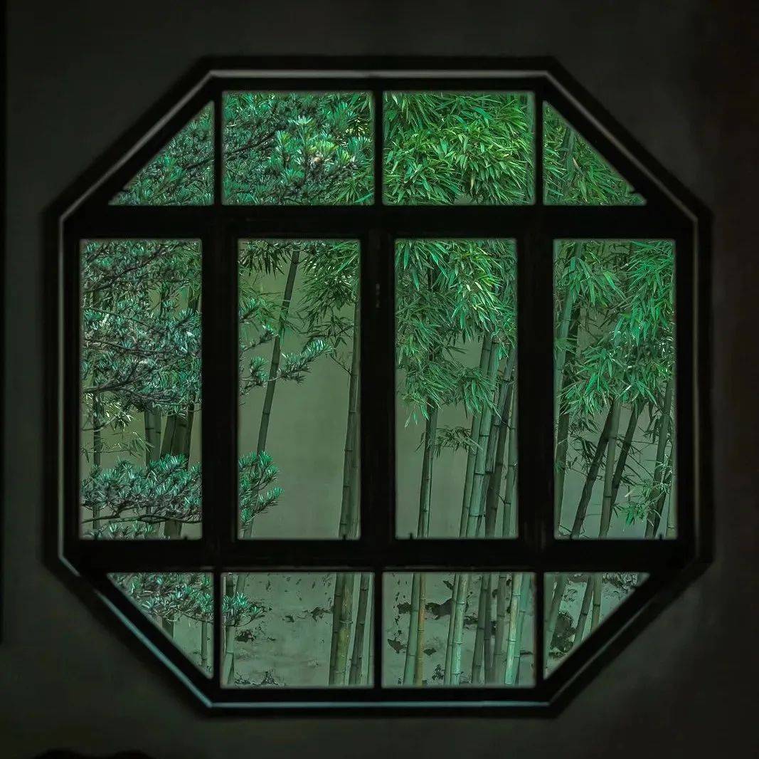 竹心有节，君子同风。_人生_竹子_生活