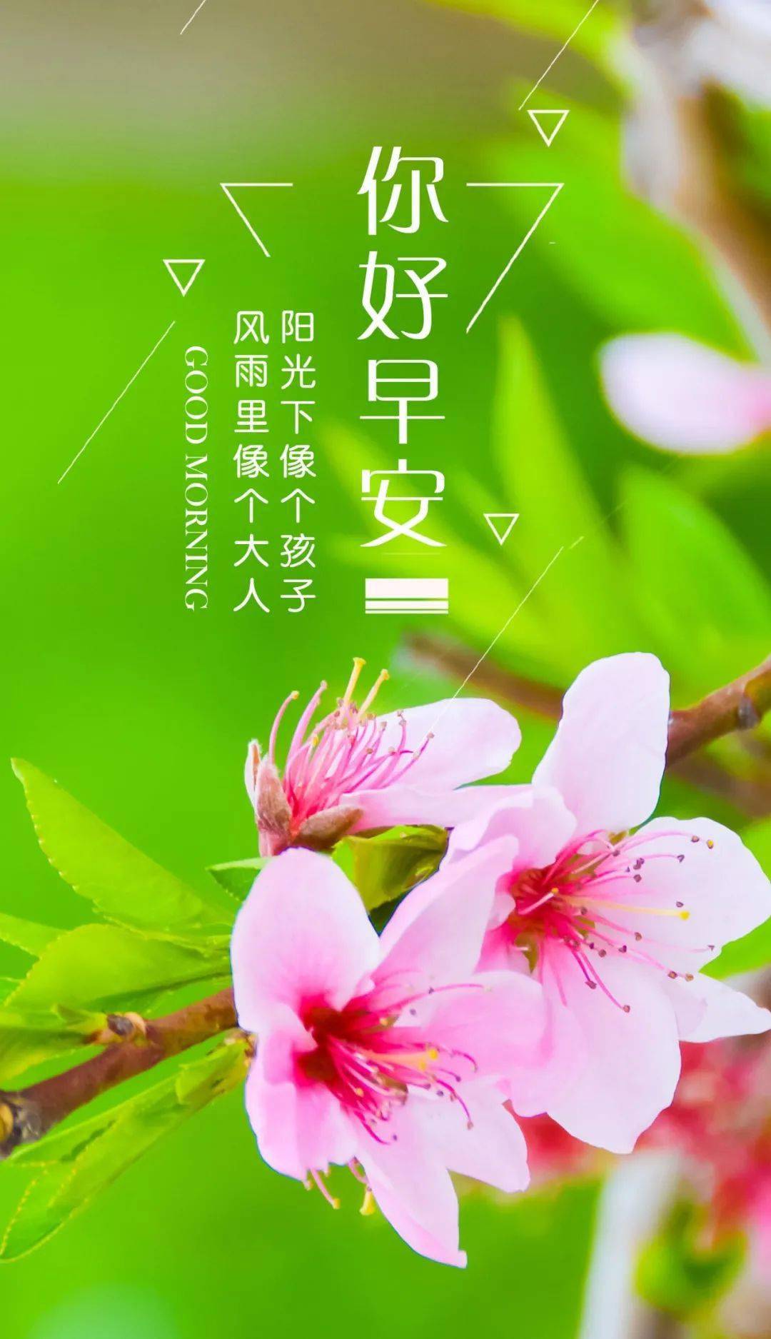 5月30日星期一早安祝福送给你