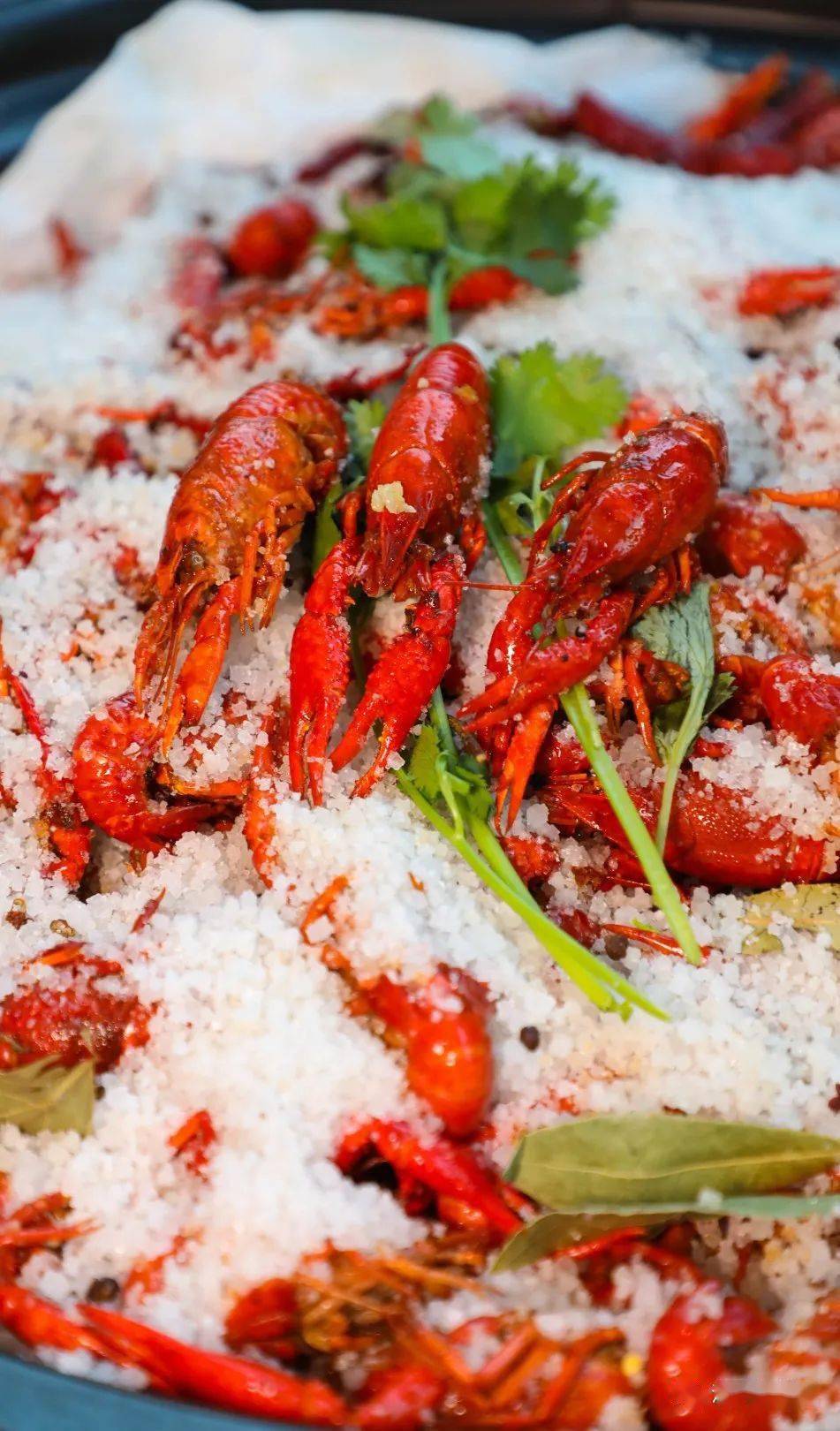 小龙虾自助!疯狂自助大餐!夏天的快乐回归!大胃王一直冲!