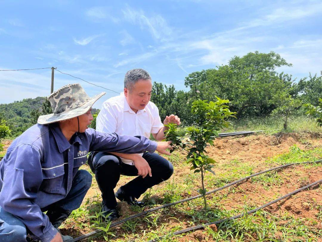 【接力支援 情满苏区】陈晓东：金融春风枝叶情