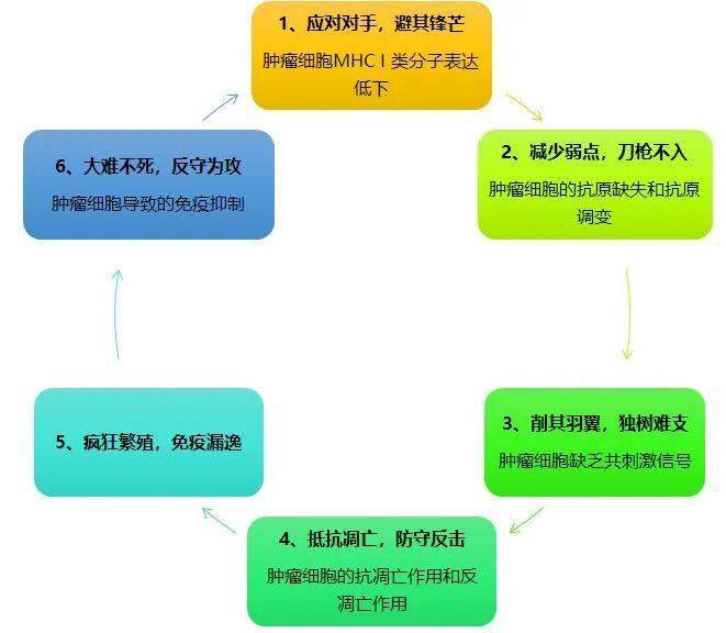 免疫逃逸机制绝大部分的时间里,尽管有不法细胞,但是它们也掀不起什么