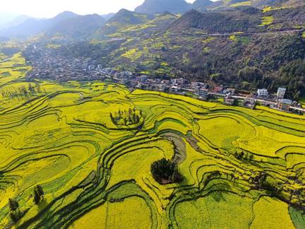 乡村四时好风光 | 甘肃陇南文县天魏湫色·白马村寨踏青之旅