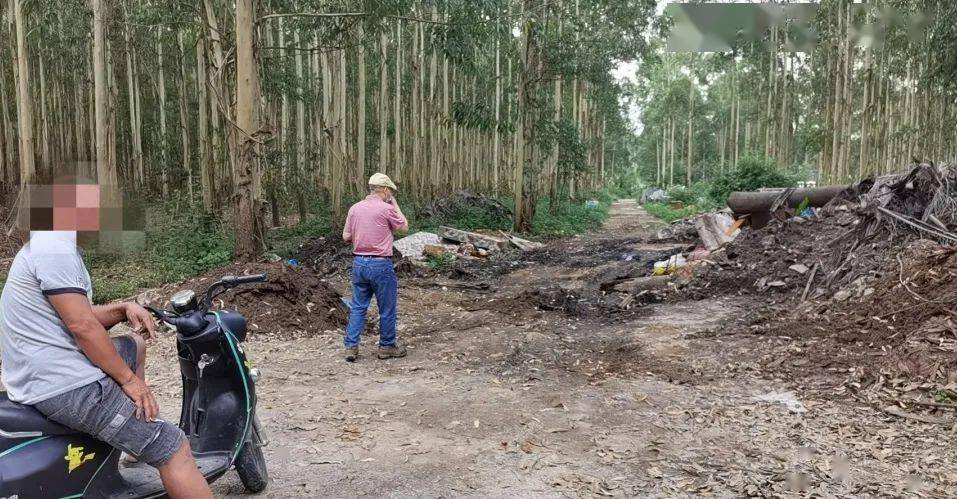 死因不明合浦山口镇一路口出现20多头死猪