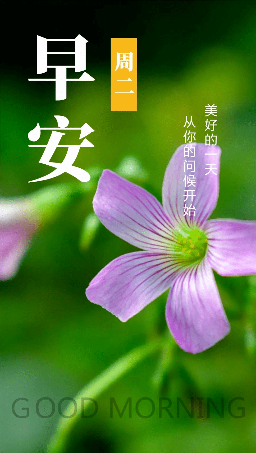 5月31日星期二早安祝福送给你