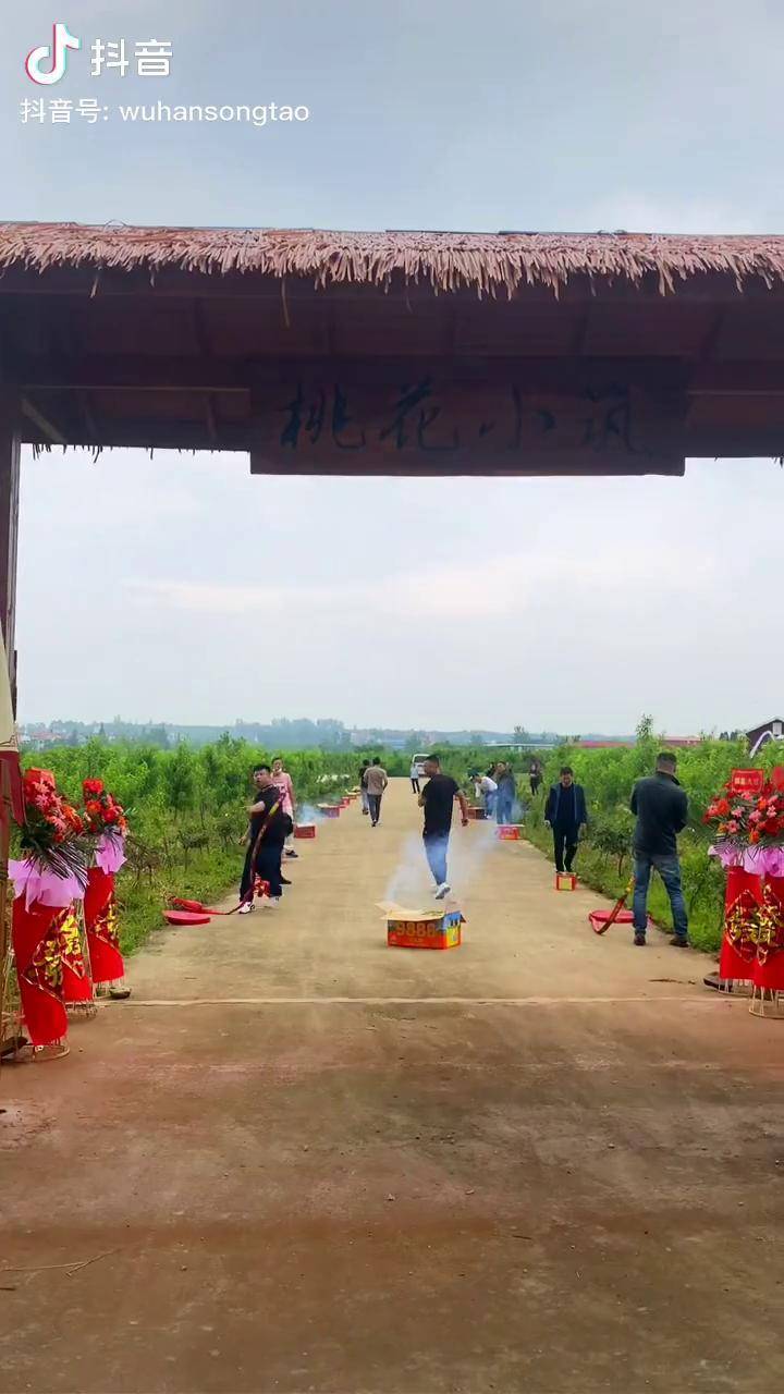 精心筹备的桃花小筑已全面开放武汉宋桃诗李桃花桃花小筑特色农家菜