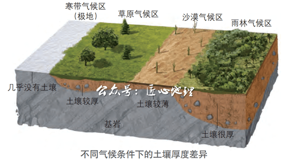 生物,气候,地形和时间等,它们共同控制着土壤的发育和土壤性质