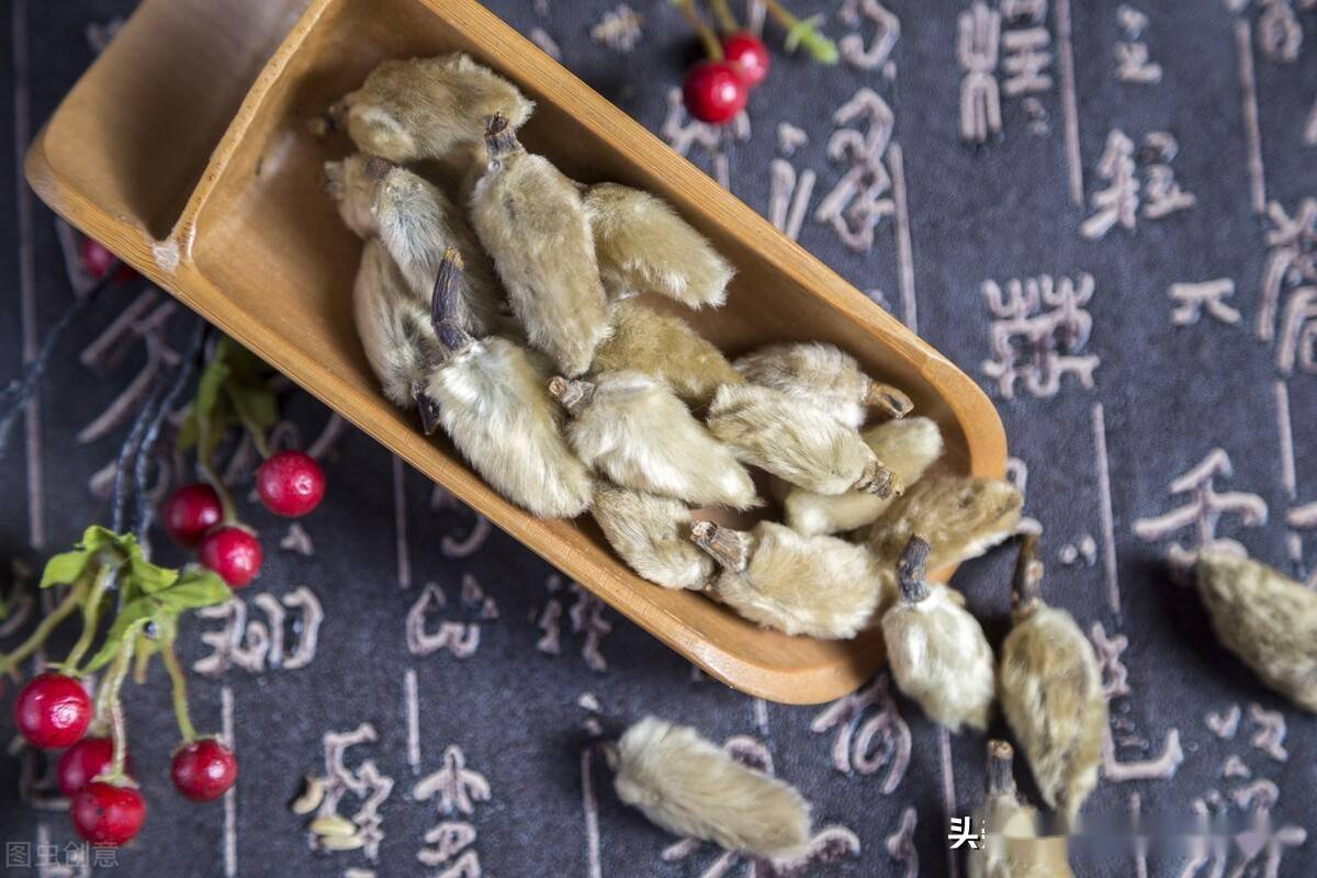 四味中药,通鼻窍,止头痛,缓解鼻塞,鼻炎_辛夷_薄荷_白芷