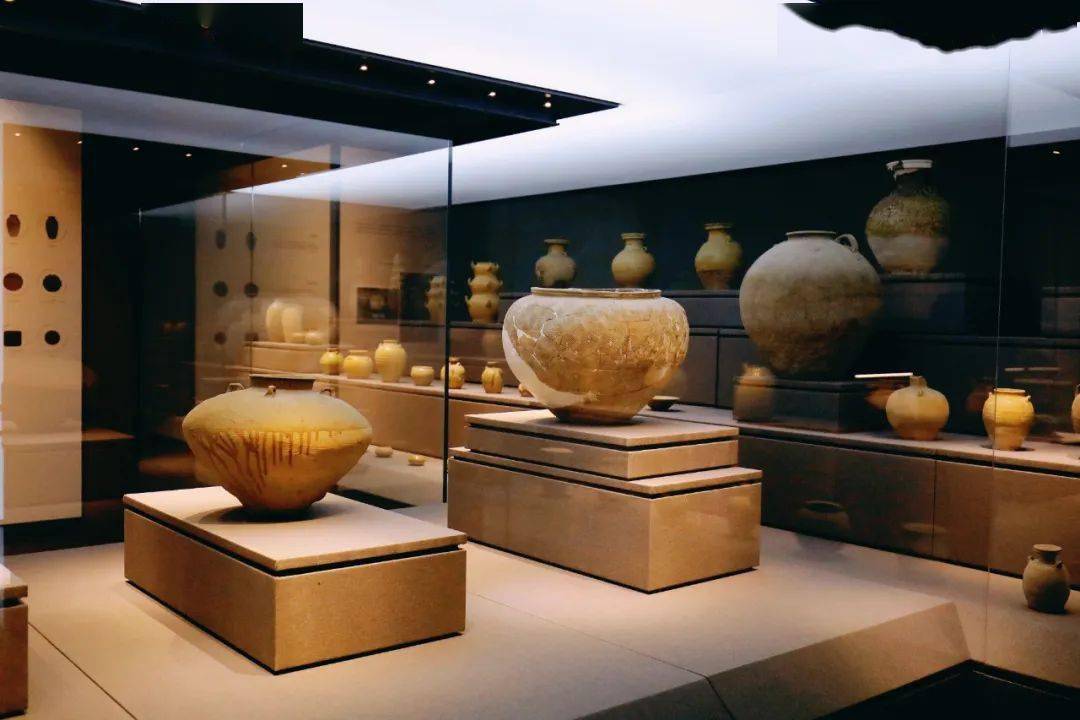 quot六一quot归来天台博物馆恢复开放发现多了两头quot活的quot远古